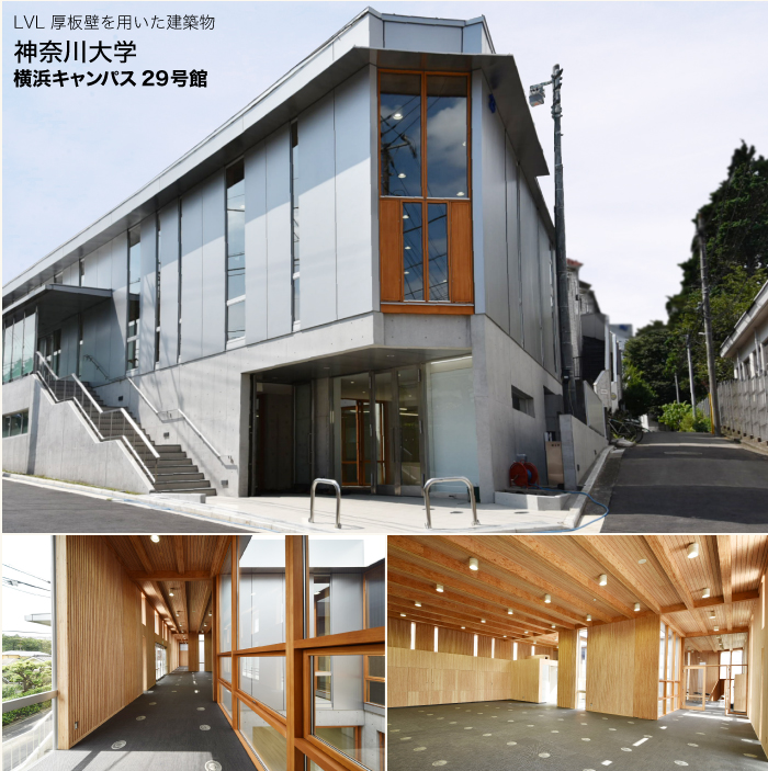 神奈川大学 横浜キャンパス29号館LVL 厚板壁を用いた建築物